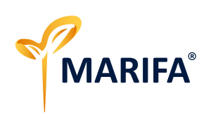 logo Marifa Registered